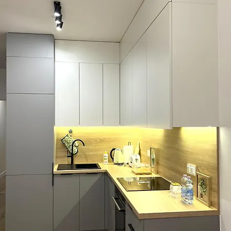 Domaniewska Apartment