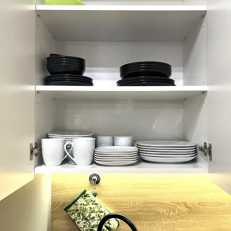Apartment Domaniewska *